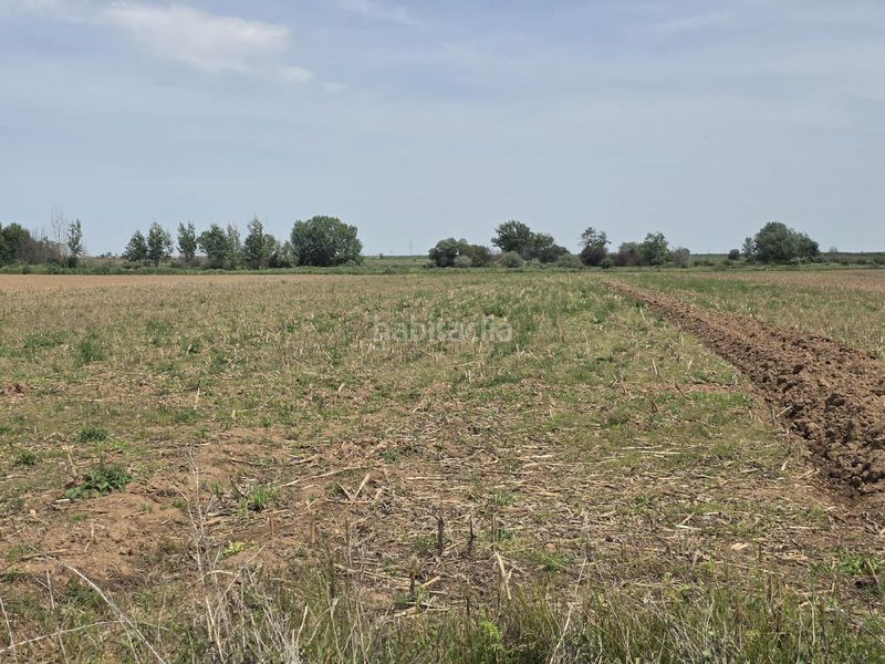 Foto b741c192-d51a-4369-9ef4-705509bae11f. Finca rústica a Villazala