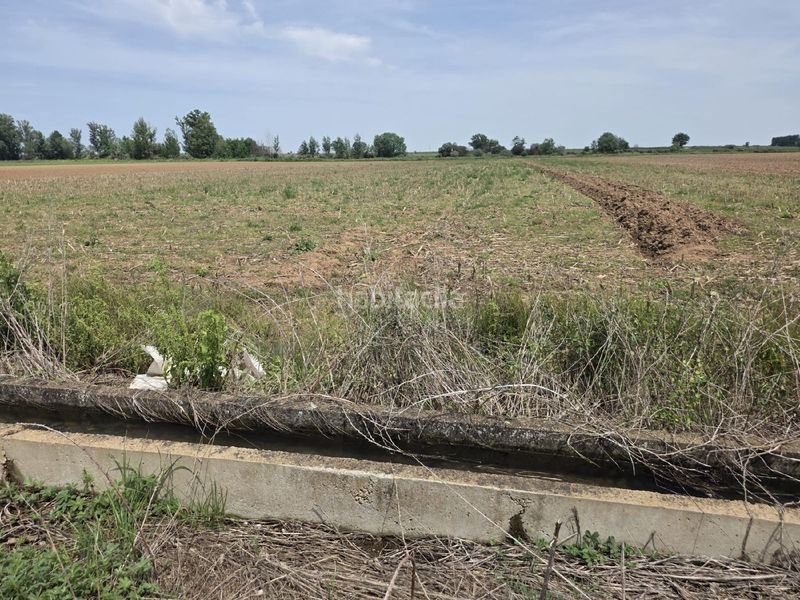Foto e5a4fc8a-6a45-498b-914a-9456a8b0aaa9. Finca rústica a Villazala
