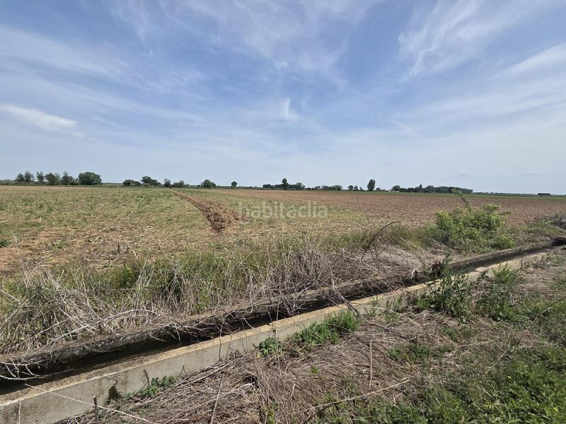 Foto eccc27b6-ae79-4140-9bf2-8dd5092732ea. Finca rústica a Villazala