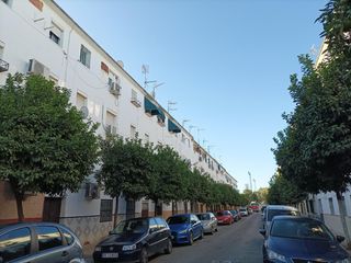 Pis a Torreblanca. Cedro 4