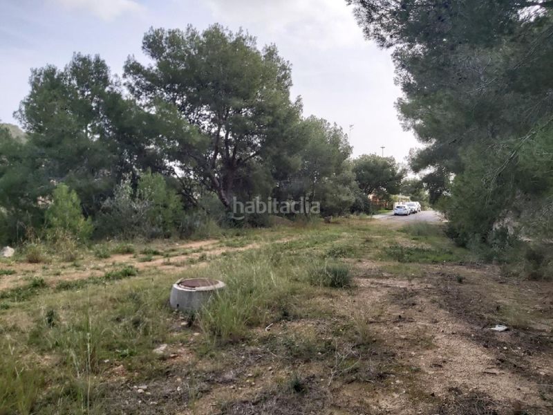 Foto e545d9c4-fc6e-4b1f-a986-8790cd6ac19b. Terreny residencial a Roda de Barà