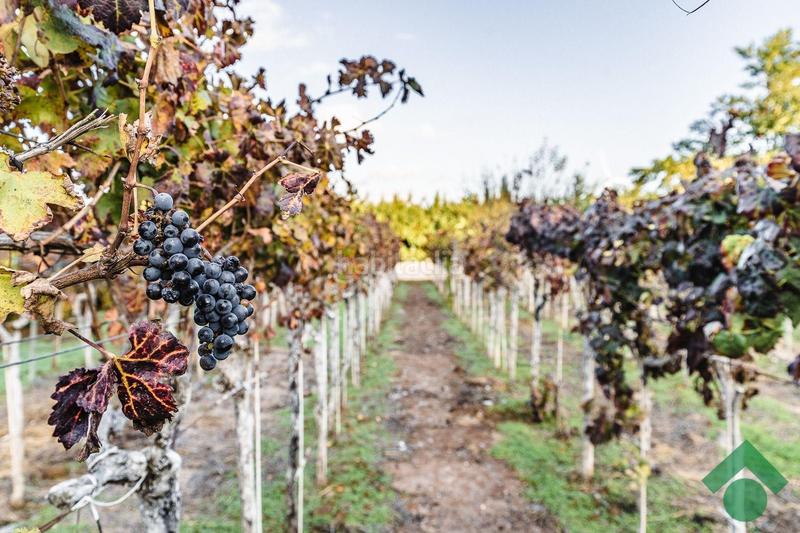 Foto 11493634-cafc-45fa-aa0c-f37ea3bda526. Chalet con riscaldamento parcheggio piscina in Centro Puerto Real
