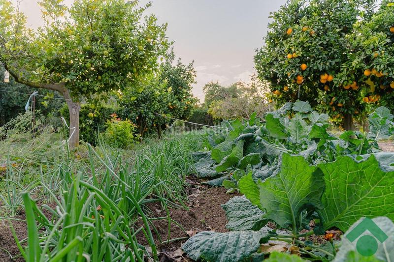 Foto 12c199fa-9c28-4184-9c83-03f38e64ca86. Chalet con riscaldamento parcheggio piscina in Centro Puerto Real