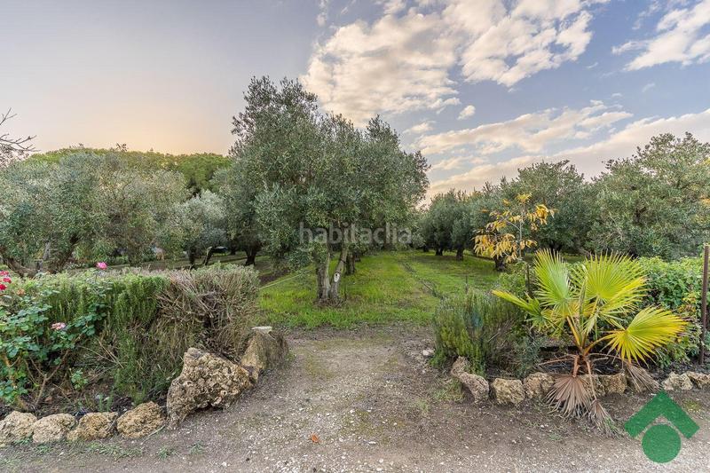 Foto 5c163c7b-a918-435b-9887-d1998630c57d. Chalet con riscaldamento parcheggio piscina in Centro Puerto Real