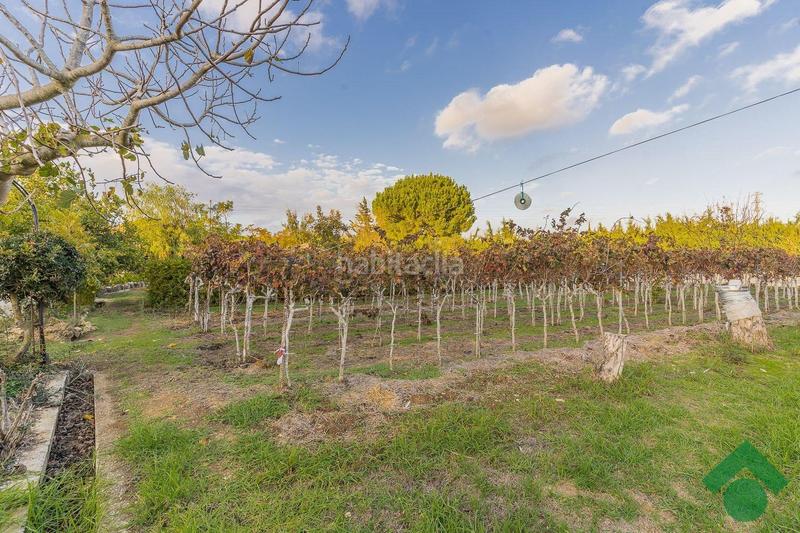 Foto a1b7ebf2-9410-4cd7-aa41-95c090f5db6e. Chalet con riscaldamento parcheggio piscina in Centro Puerto Real