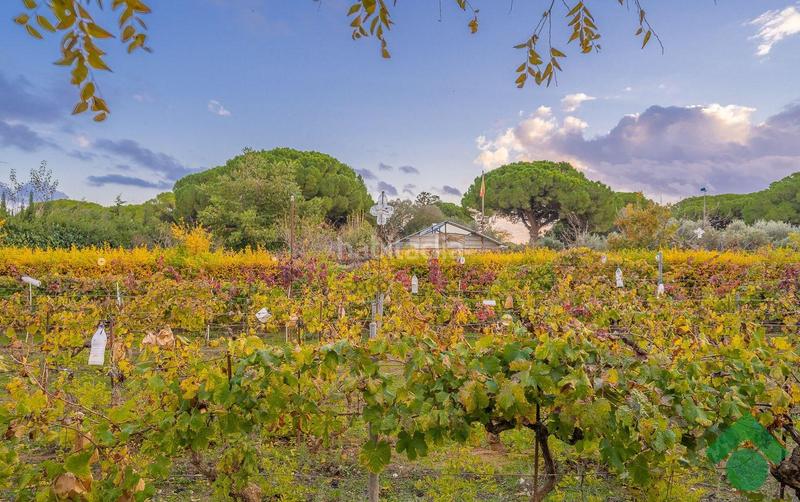 Foto bd5cb93a-6e42-42be-84c7-4d031fd3abee. Chalet con riscaldamento parcheggio piscina in Centro Puerto Real