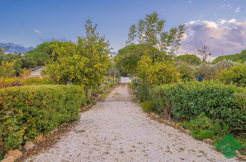 Foto eedbd91e-4945-459d-a36a-ac9820f1b3d0. Chalet con riscaldamento parcheggio piscina in Centro Puerto Real