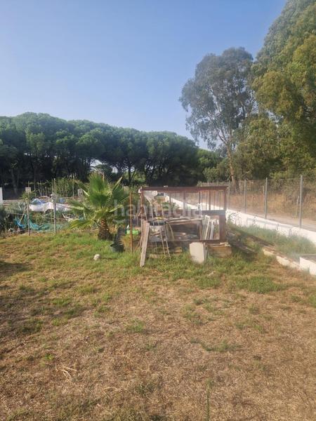 Foto be1fec61-6528-4402-bfc7-b30e229c195d. Masia amb aparcament piscina a El Almedral Puerto Real