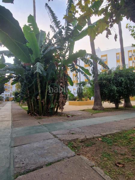 Foto 448768e6-7bcb-41c1-a204-b6565b5c8512. Appartamento in Crevillet Puerto de Santa María (El)