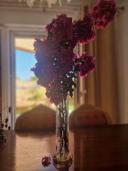 Chalet à El Juncal - Vallealto. Oportunidad!!!! casachalet