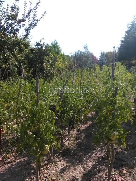 Foto 5b2f0c01-3b79-4d9d-bd2b-a73a7d282b32. Chalet con parcheggio in Condado de Treviño