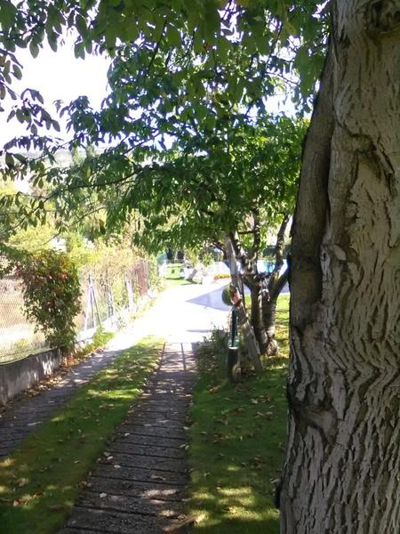 Foto 69e9ee23-6907-4ccd-99d4-ad558782b7a4. Chalet con parcheggio in Condado de Treviño