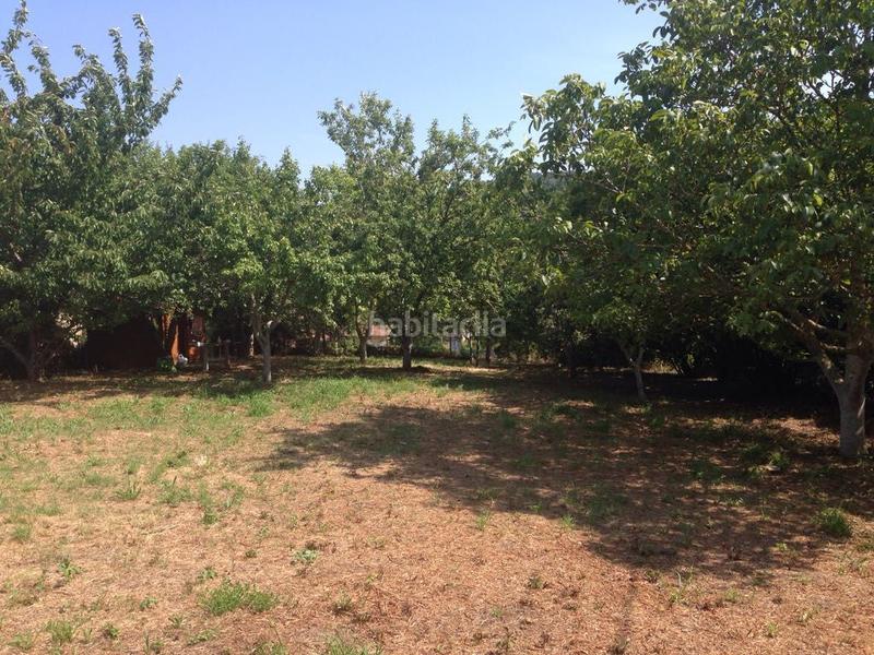Foto a40a38a2-f264-4cf4-be41-7a2aab442a2b. Terreny residencial a Zigoitia