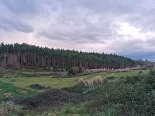 Finca rústica a Barrio valmoreda 10. Finca rústica en oruña de piélagos