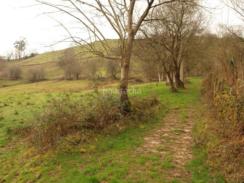 Foto a53c3302-902d-44d9-92c7-5b3218602414. Finca rústica a Puente Viesgo