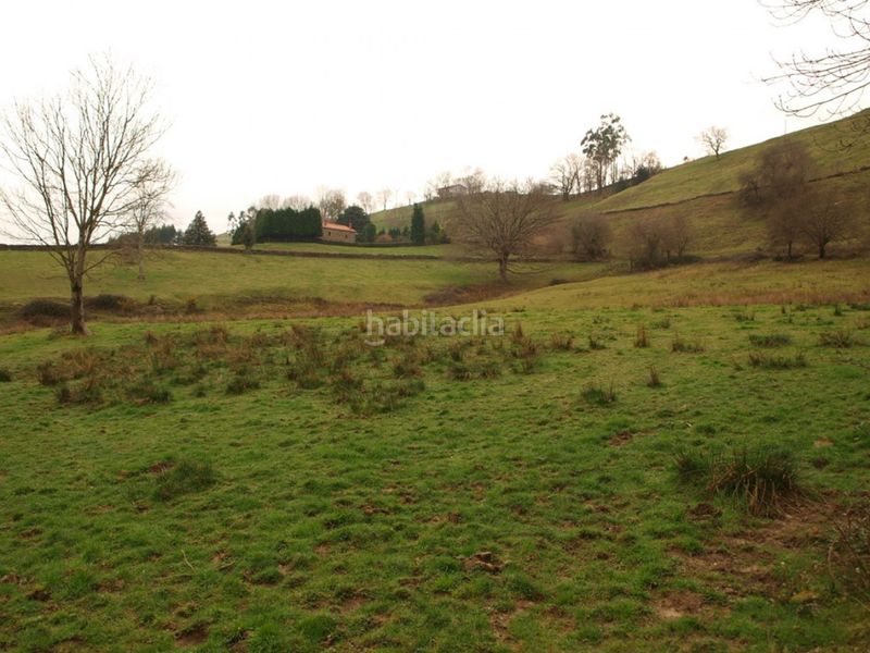 Foto b787f94a-5cef-4b6a-8cfc-3fa1f55a9743. Finca rústica a Puente Viesgo