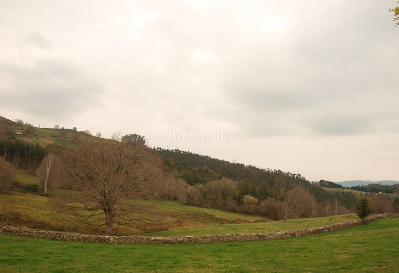 Foto beed3337-3861-483d-ace0-3e28c8bb1c1a. Finca rústica a Puente Viesgo