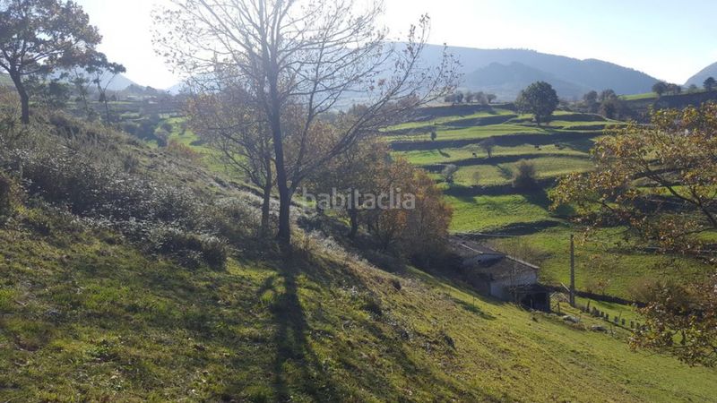 Foto 3620216d-cf2e-4c73-a723-f8c8212c213c. Finca rústica a silió - la mata s/n a Molledo