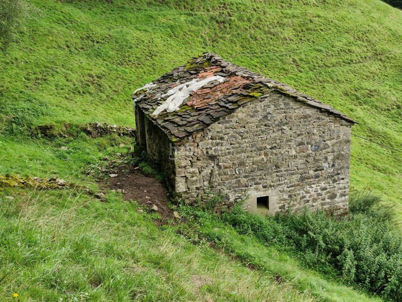 Foto 7e5b9b80-e337-4e5f-9e5c-cbee94895e41. Finca rústica a Selaya