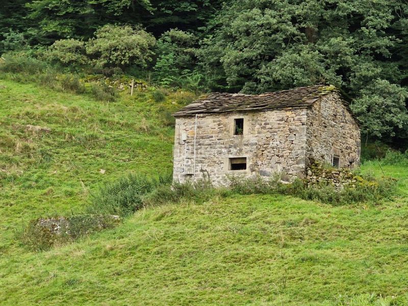 Foto f3965957-c033-465e-9326-0d003e8d95d4. Finca rústica a Selaya