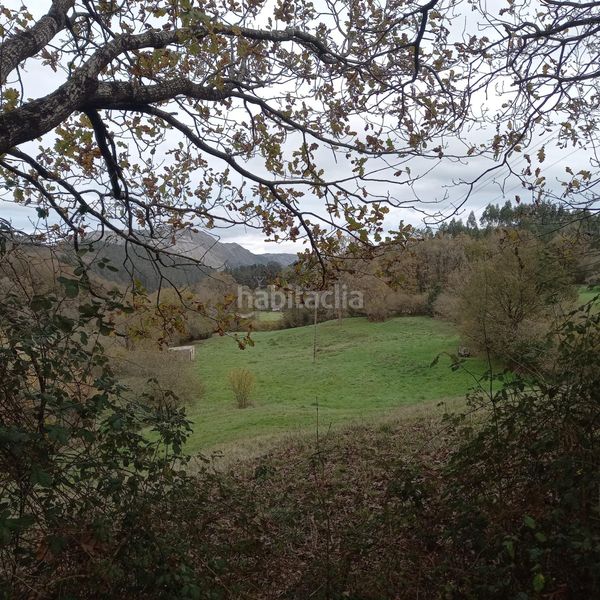 Foto 15bcb7ee-57ca-436f-915c-aab9ef3a4f45. Finca rústica a Corrales de Buelna (Los)