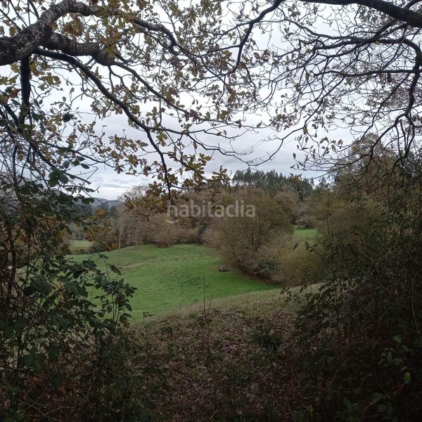 Foto 5f1cc213-1676-4283-81b4-41290fe6a424. Finca rústica a Corrales de Buelna (Los)