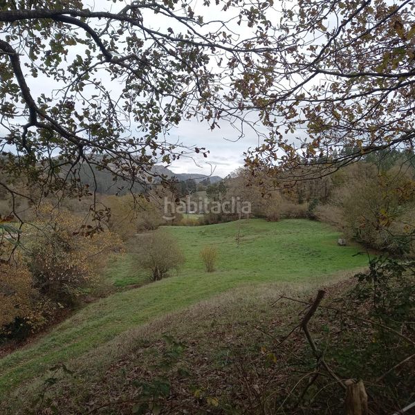 Foto a100a47a-3565-4fcf-8ea3-014707f926f6. Finca rústica a Corrales de Buelna (Los)