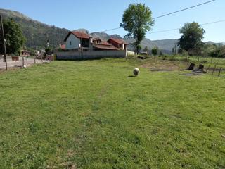 Terreny residencial  Barrio sopenilla. Parcela de terreno urbano en san felices de buelna  cantabria.