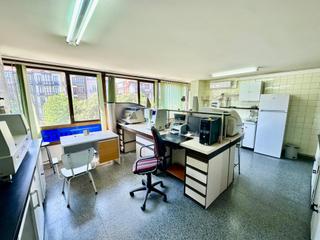 Lloguer Oficina a Centro - Ayuntamiento. Oficina junto al ayuntamiento