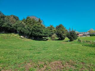 Terreny residencial  Avenida menéndez pelayo. Finca urbana de 1050 m² dentro de una imresionante finca de 12.9