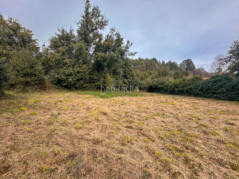 Foto dc3572ea-d546-41f5-abad-dddf2a316f0d. Terreny residencial a Alfoz de Lloredo