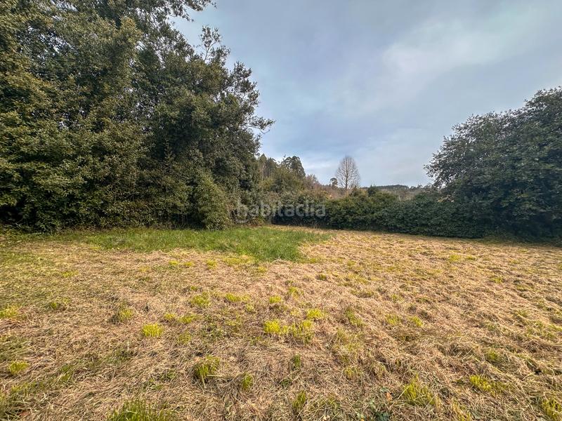 Foto f33e6f53-f511-480b-9fc7-0ab4d81dd4e1. Terreny residencial a Alfoz de Lloredo