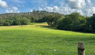 Terreny residencial  Poblado mazcuerras. Exclusiva. finca rústica ordinaria de 12.000 m² situada en mazcu