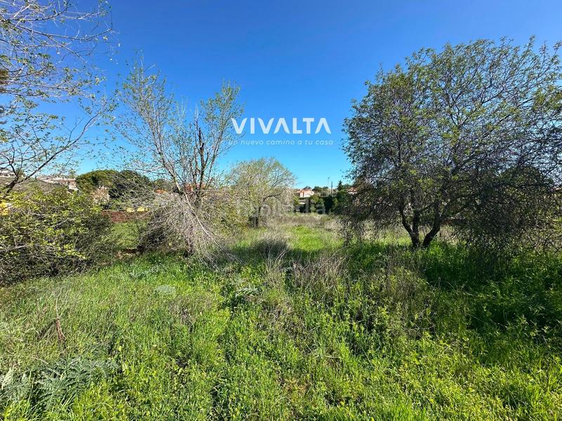 Foto e1b60e02-e2a6-4fdb-bc11-634b9a9c0701. Finca rústica a Colmenar de Oreja