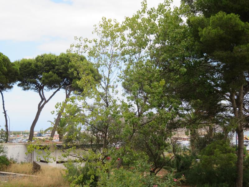 Foto e1c152c5-e33f-45f2-8d31-f102d7e3ee2c. Appartement avec chauffage dans l´Estartit poble Estartit