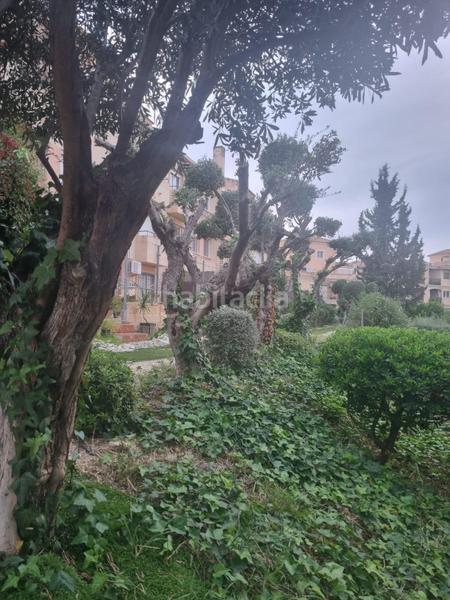 Foto 21b98e2b-7a54-4554-952f-8592c94175d8. Piso venta planta baja en altorreal en Altorreal - El Chorrico Molina de Segura