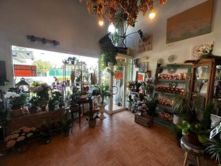 Traspàs Local Comercial a Centro. Traspaso de negocio floristería en molina de segura