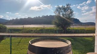 Local Comercial  Areatza hiribidea