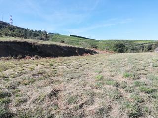 Finca rústica  Lapabide kalea. Exclusiva. oportunidad. terreno rústico de 40000 m2. limpio de m