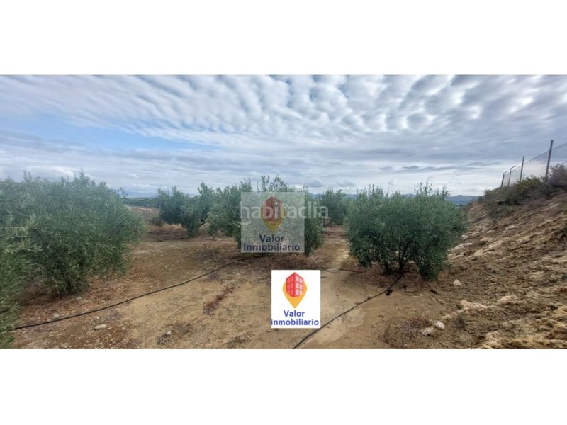 Foto 59d0e4fc-9119-49a0-9e4a-a9968f3aa7a5. Casa a Cañadas de San Pedro Murcia