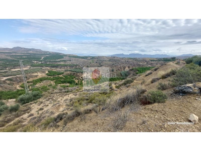 Foto b573867c-4dc0-4fb4-98e7-be8b5085f63a. Casa a Cañadas de San Pedro Murcia