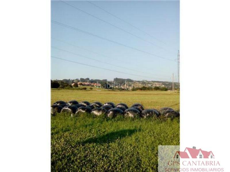 Foto ef355791-22c0-422b-b899-f8f379db608d. Terreno residenziale in Reocín