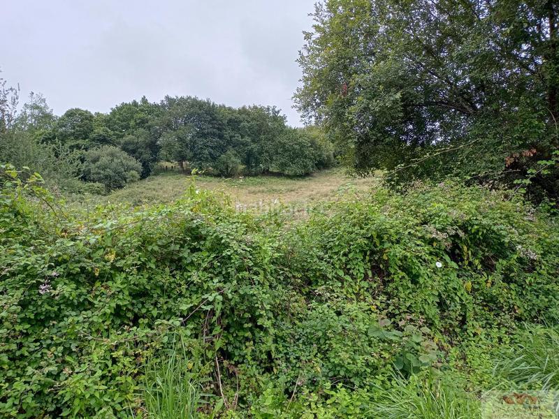 Foto 6dfaff52-d57f-4d65-a096-d0d6106d9dae. Terrain résidentiel dans Barcenilla Piélagos