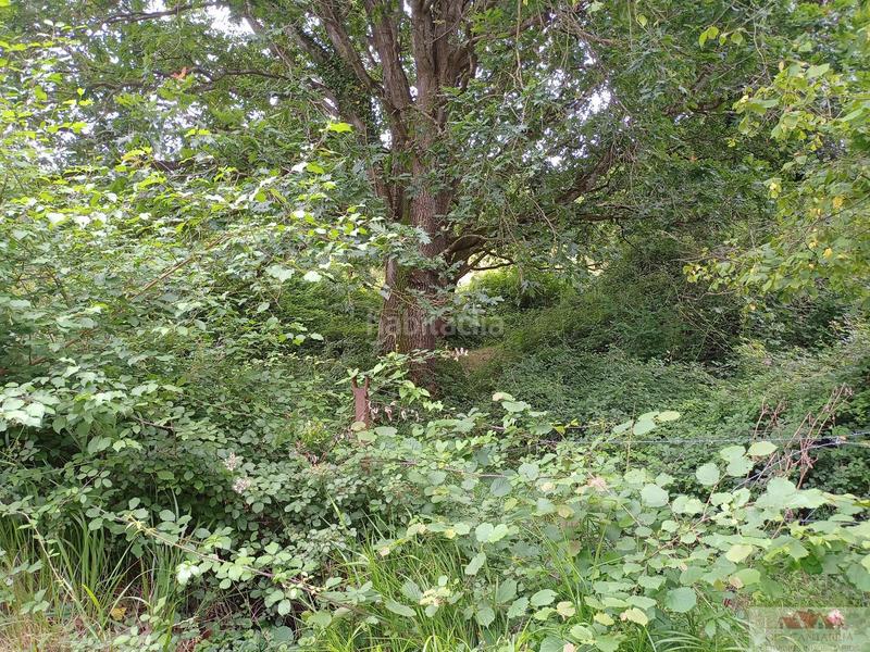 Foto a01940bb-cc36-454d-83f6-a45b6a2d0545. Terrain résidentiel dans Barcenilla Piélagos