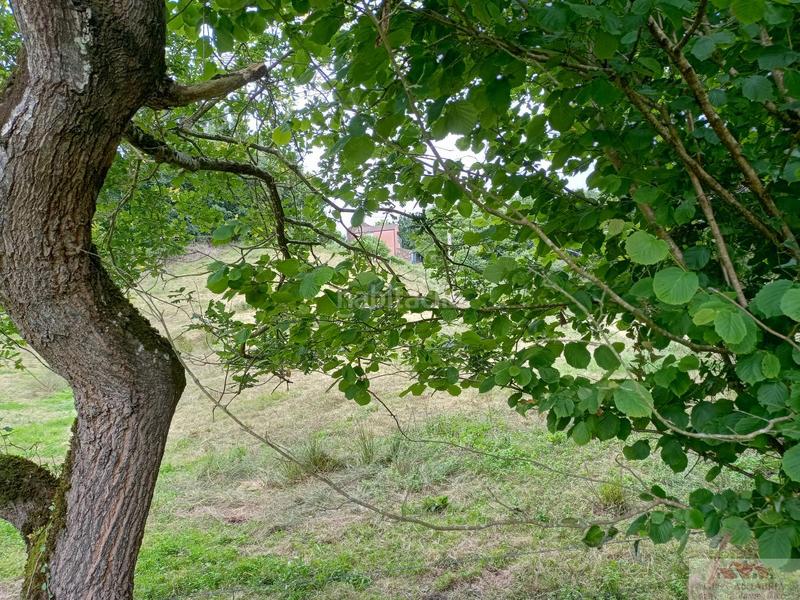 Foto ba6a5d47-1d81-465d-b994-d715ef44fc31. Terrain résidentiel dans Barcenilla Piélagos