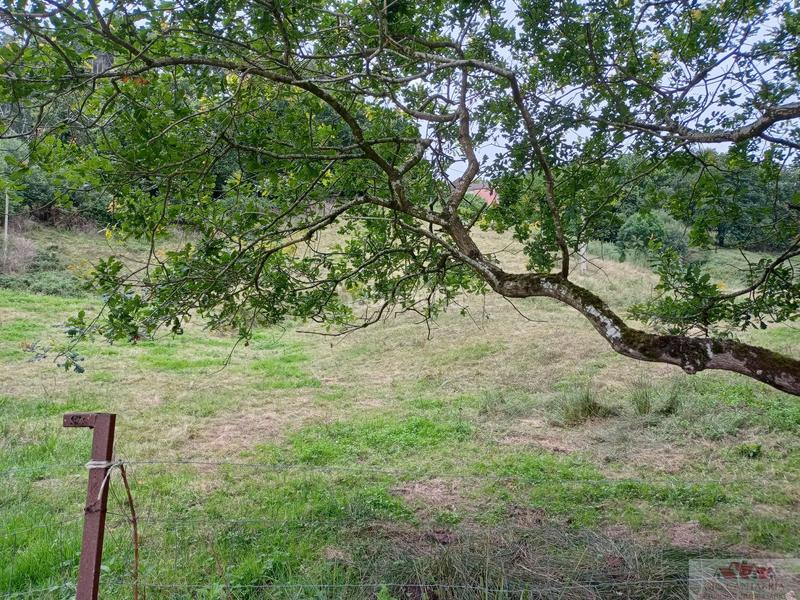 Foto cc83e09b-6f7f-4f7c-ae70-24449a85fa82. Terrain résidentiel dans Barcenilla Piélagos