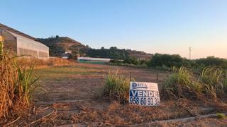 Finca rústica a Los Tablones - La Garnatilla. Parcela de 5 marjales junto a puntalon
