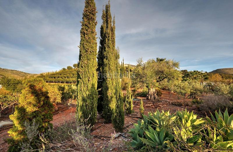 Foto 9289d374-6779-4e22-8bd7-c749e20d2fbc. Masia amb aparcament piscina a Los Tablones - La Garnatilla Motril