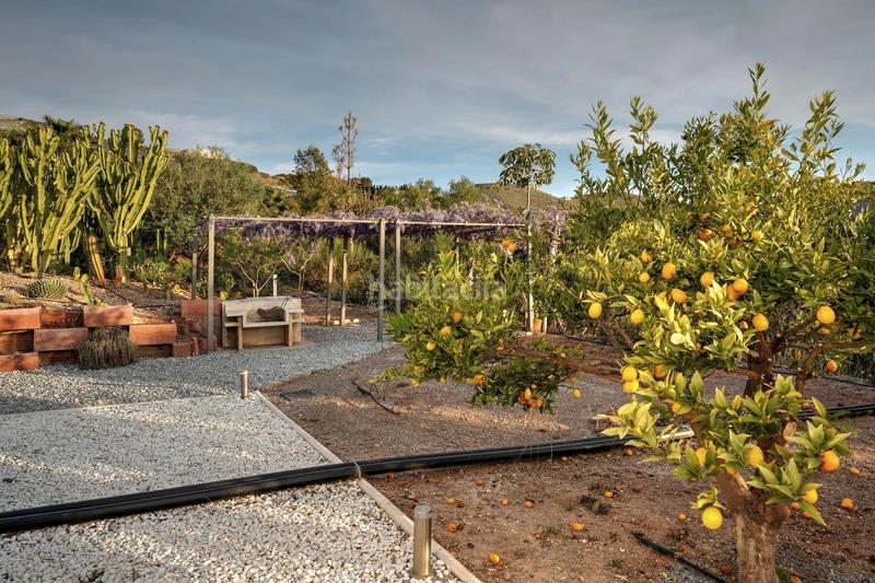 Foto e0725b60-29c2-4b1e-a287-6910c058e50c. Masia amb aparcament piscina a Los Tablones - La Garnatilla Motril