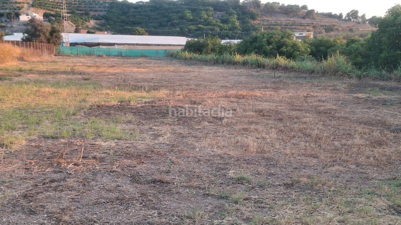 Foto 55696152-88d5-4c99-83cb-4943ac75e355. Propriété dans Los Tablones - La Garnatilla Motril